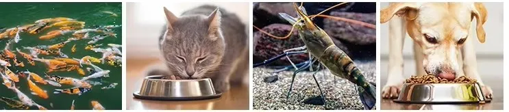 animal application animal application