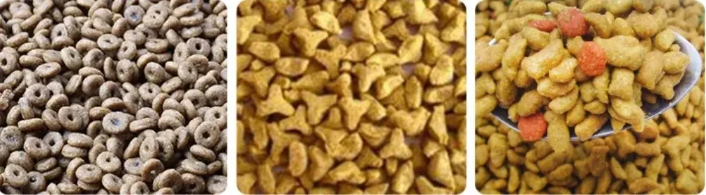 animal sample display animal sample display