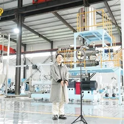 Floating feed pellet production line