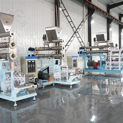 Large-scale Mass Production Wet Fish Feed Extruder Large-scale Mass Production Wet Fish Feed Extruder